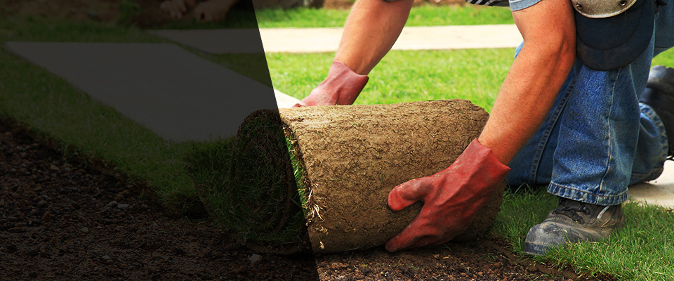 Lanett Landscapers